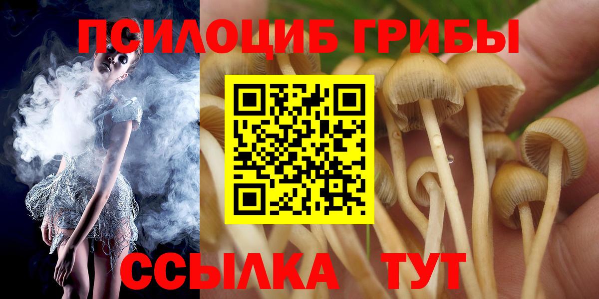 Галлюциногенные грибы прущие грибы  Вход с VPN  Баксан  Галлюциногенные грибы GOLDEN TEACHER 